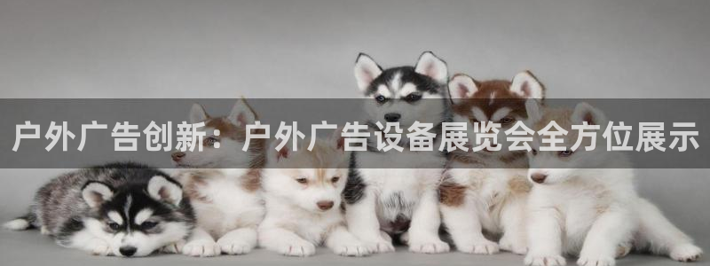 杏宇平台好吗