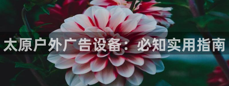 杏宇平台怎么样知乎