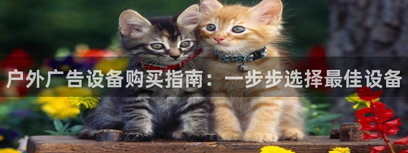 杏宇平台登录步骤图