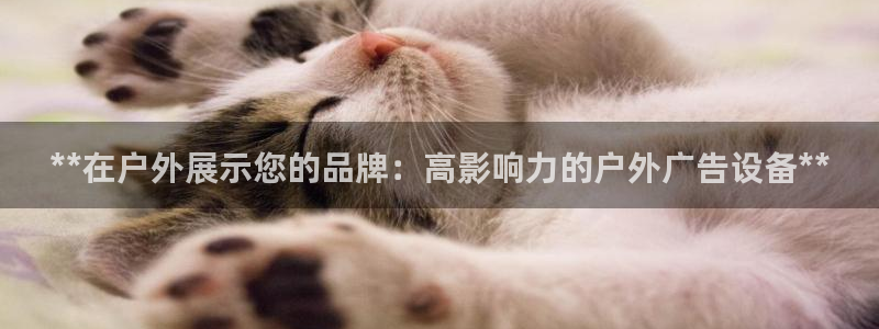 杏宇平台招商电话号码