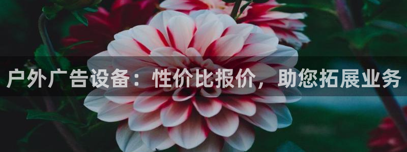 杏宇平台怎么样赚钱