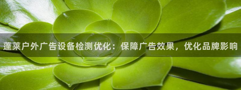 杏宇官方平台官网