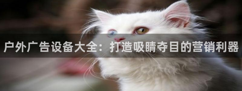 杏宇平台登陆