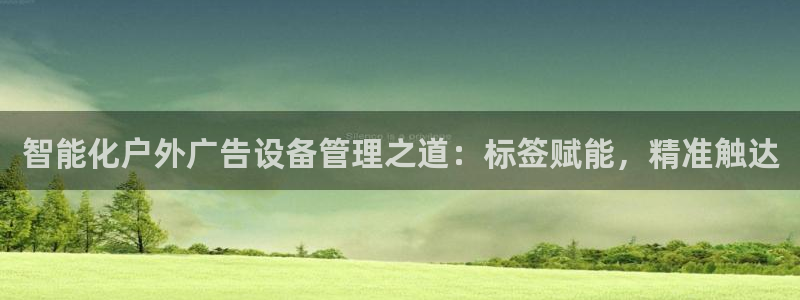 杏宇平台是什么