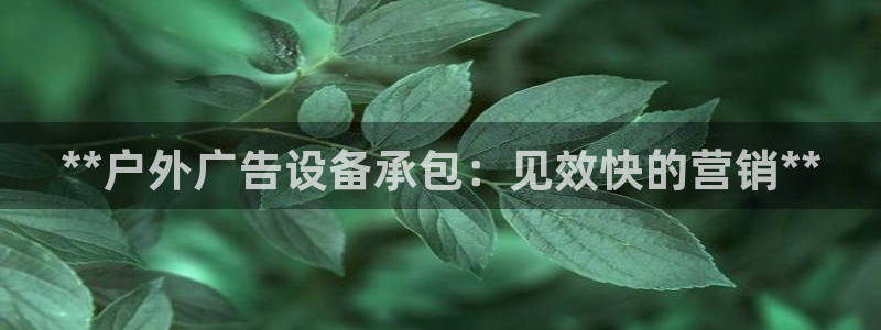 杏宇平台代理怎么样可靠吗