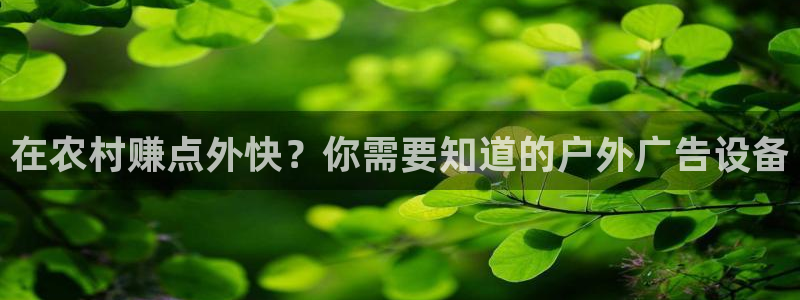 杏宇平台代理多少钱一个月
