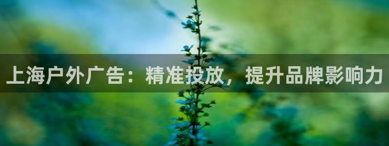 杏宇平台代理多少钱