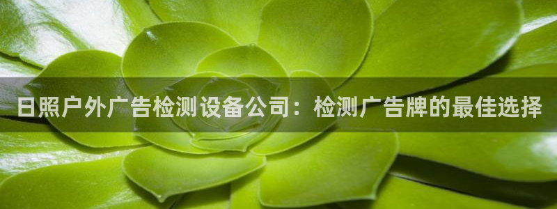 杏宇平台怎么样赚钱