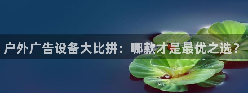 杏宇平台主管