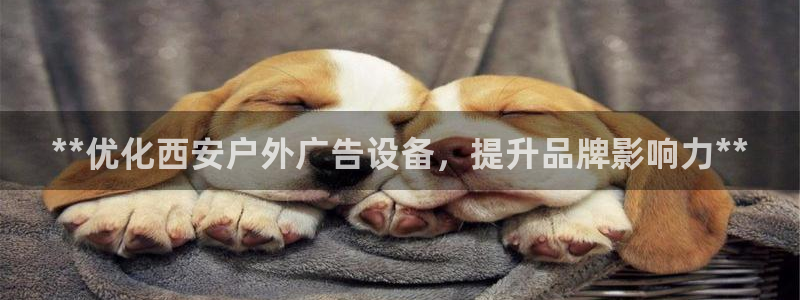 杏宇平台测速链接