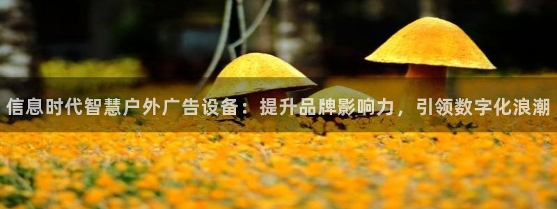 杏宇平台开户