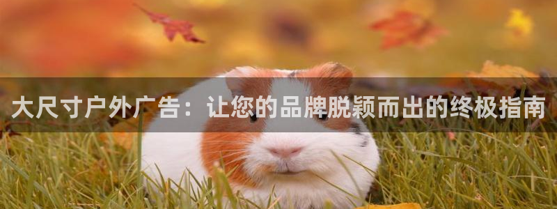 杏宇平台总代理是谁