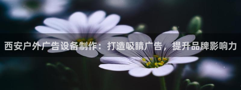 杏宇平台代理怎么赚钱