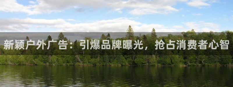 杏宇官方平台官网
