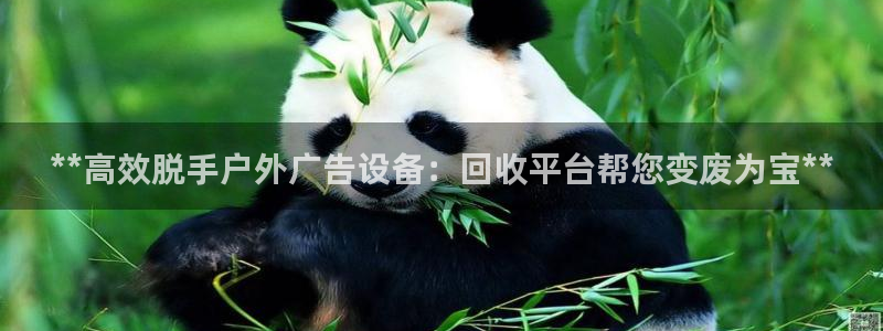 杏宇平台怎么样赚钱