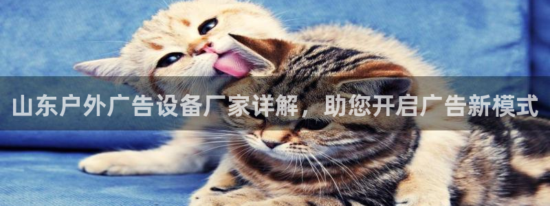 杏宇官方平台官网入口