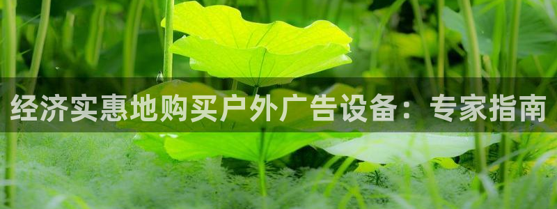 杏宇平台代理：经济实惠地购买户外广告设备：专家指南