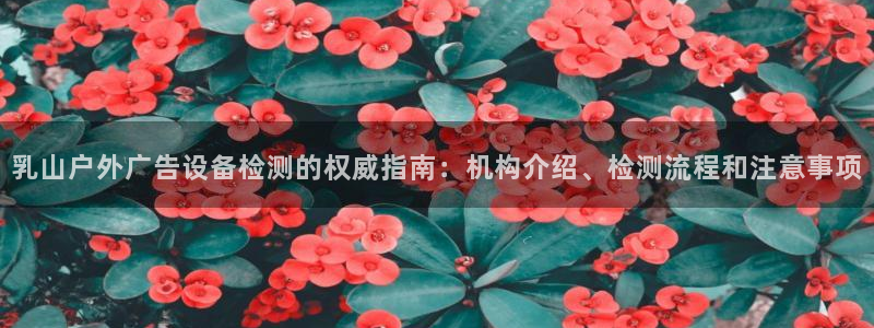 杏宇平台登录步骤图：乳山户外广告设备检测的权威指南：机构介绍、检测流程和注意事项