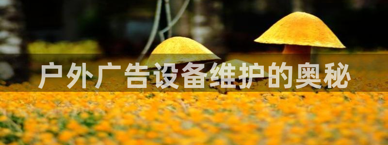杏宇代理注册