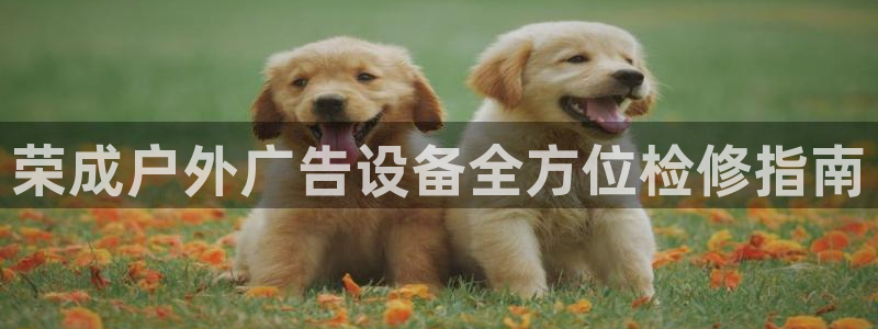 杏宇代理注册