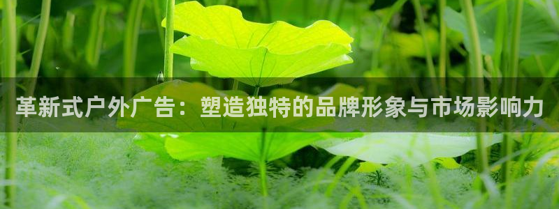 杏宇平台怎么样