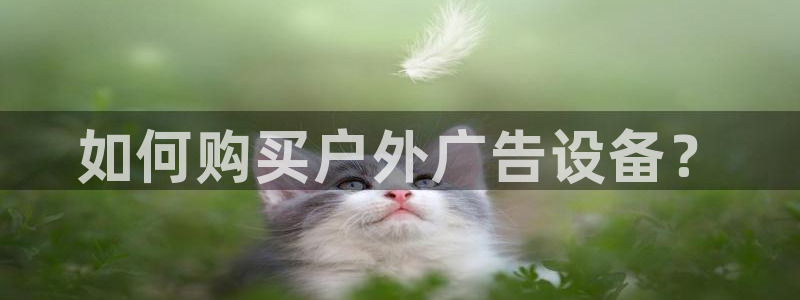 杏宇代理注册：如何购买户外广告设备？