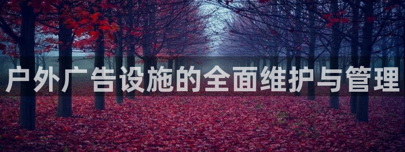 杏宇平台主管：户外广告设施的全面维护与管理