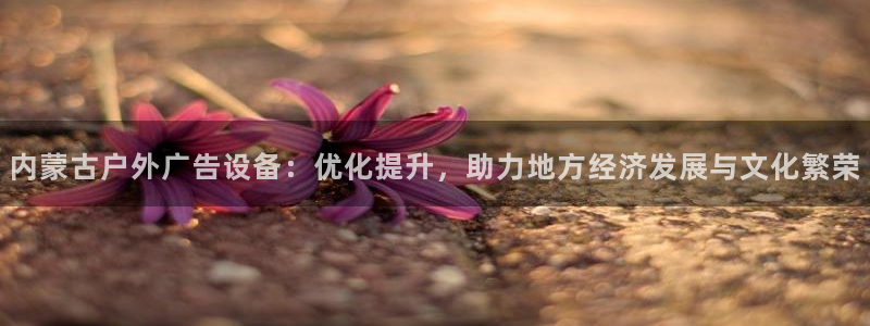 杏宇平台代理怎么样：内蒙古户外广告设备：优化提升，助力地方经济发展与文化繁荣