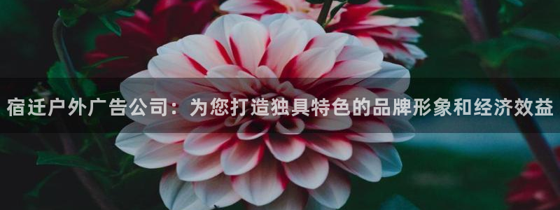 杏宇平台总代理是谁：宿迁户外广告公司：为您打造独具特色的品牌形象和经济效益