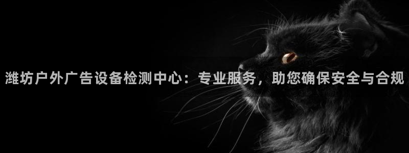 杏宇平台代理多少钱：潍坊户外广告设备检测