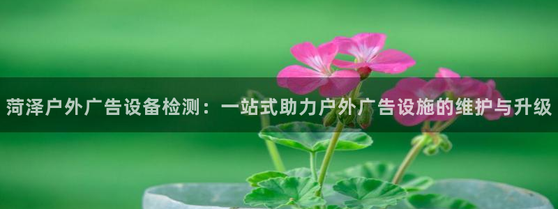 杏宇平台主管：菏泽户外广告设备检测：一站式助力户外广告设施的维护与升级