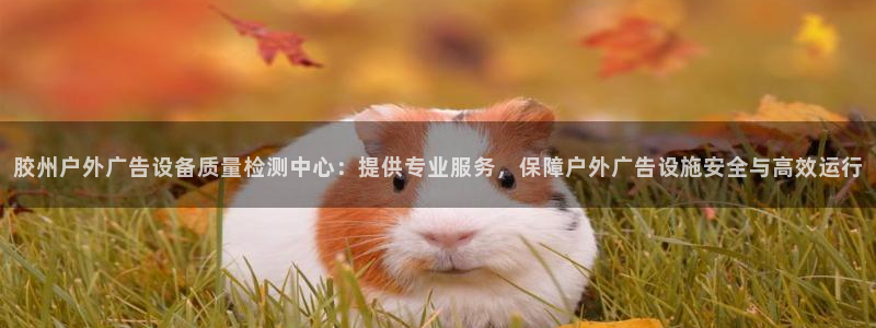 杏宇平台提现为什么这么久呢：胶州户外广告