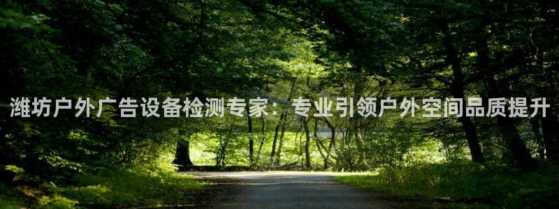 杏宇平台代理怎么赚钱的：潍坊户外广告设备检测专家：专业引领户外空间品质提升