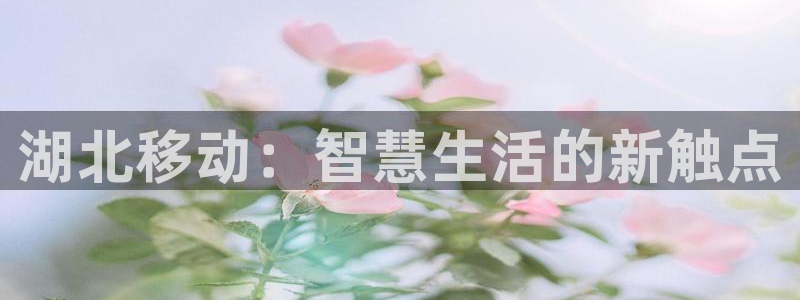 杏宇平台注册地址在哪里：湖北移动：智慧生