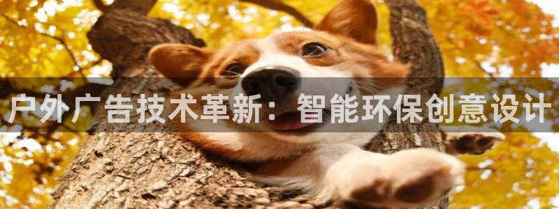 杏宇平台代理怎么赚钱快：户外广告技术革新