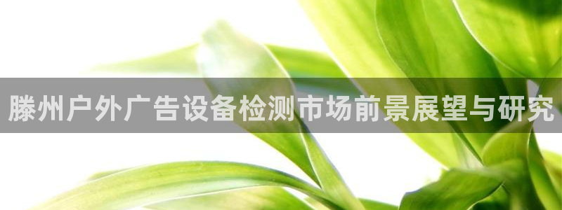 杏宇平台主管：滕州户外广告设备检测市场前景展望与研究