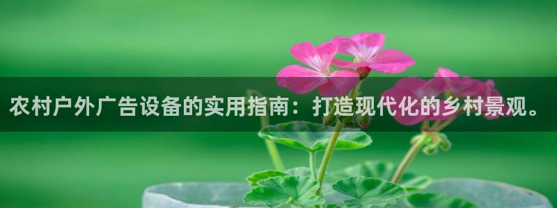 杏宇平台注册登录：农村户外广告设备的实用指南：打造现代化的乡村景观。