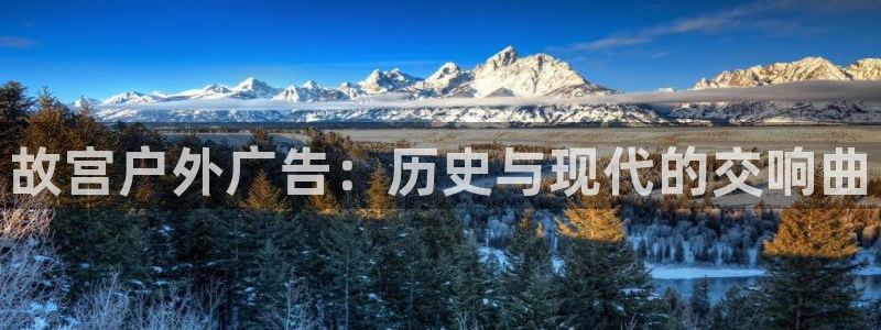 杏宇平台代理怎么样