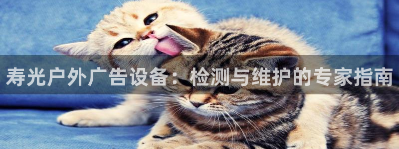 杏宇平台怎么样知乎