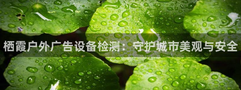 杏宇平台代理怎么样啊