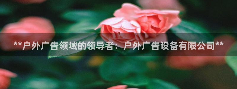 杏宇平台登录步骤图