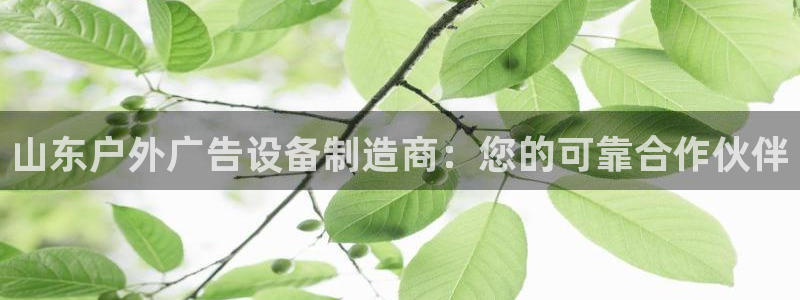 杏宇官方平台官网：山东户外广告设备制造商：您的可靠合作伙伴