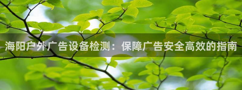 杏宇平台怎么样赚钱：海阳户外广告设备检测：保障广告安全高效的指南