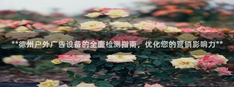 杏宇平台代理怎么赚钱