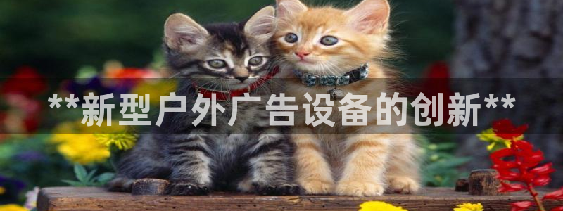 杏宇平台代理：**新型户外广告设备的创新**