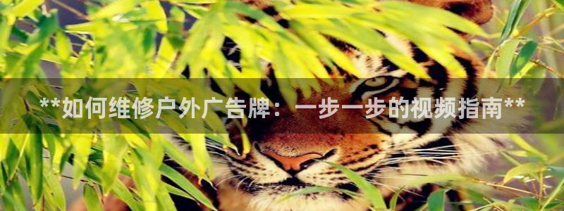 杏宇平台代理怎么样赚钱