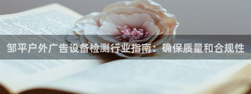 杏宇平台代理多少钱一个月：邹平户外广告设备检测行业指南：确保质量和合规性