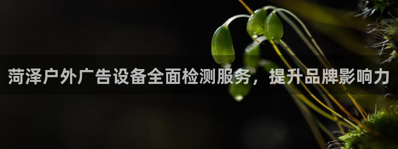 杏宇官方平台官网：菏泽户外广告设备全面检测服务，提升品牌影响力