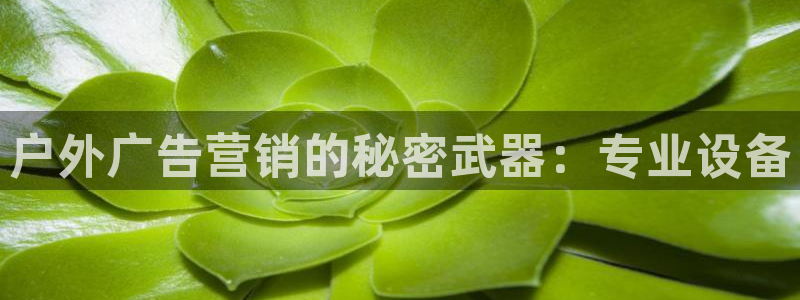 杏宇平台代理多少钱一个