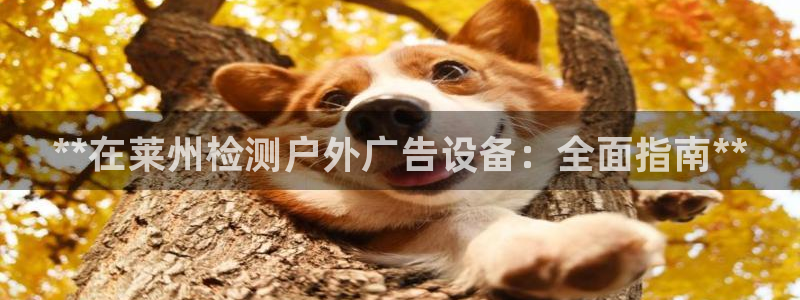 杏宇平台登录步骤是什么：**在莱州检测户外广告设备：全面指南**